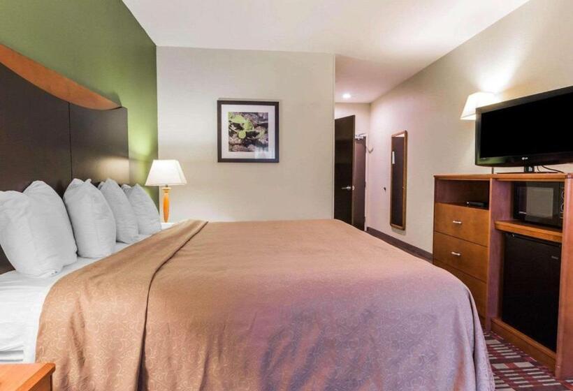 Standardzimmer, Quality Inn & Suites Birmingham   Highway 280