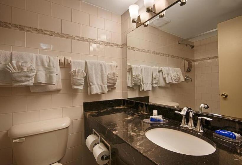 Стандартный Номер Кровать Кинг, Best Western Brantford Hotel And Conference Centre