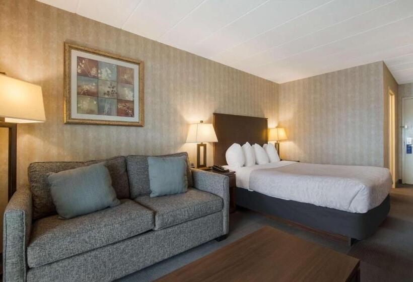 Стандартный Номер Кровать Кинг, Best Western Brantford Hotel And Conference Centre