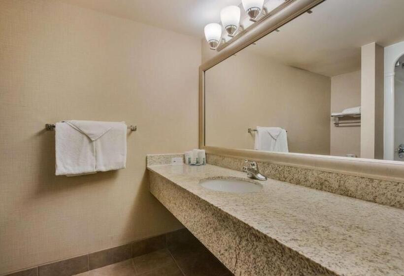 Номер Стандарт, Best Western Brantford Hotel And Conference Centre
