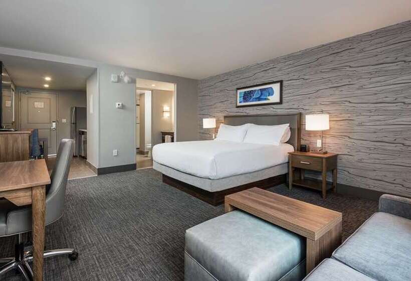 Студио Стандарт Кровать Кинг, Hampton Inn & Suites Houghton