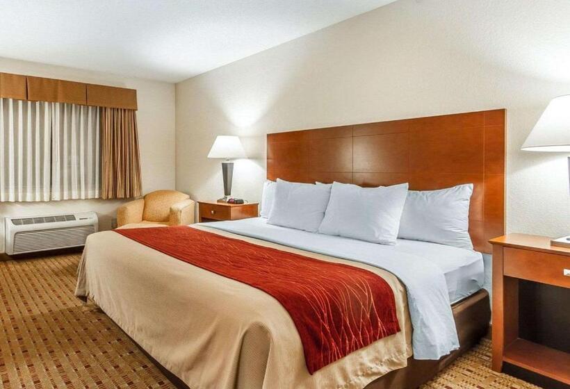 Стандартный Номер Кровать Кинг, Quality Inn & Suites