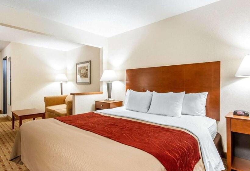 Люкс Кровать Кинг, Quality Inn & Suites