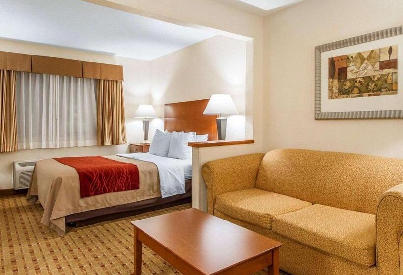 Люкс, Quality Inn & Suites