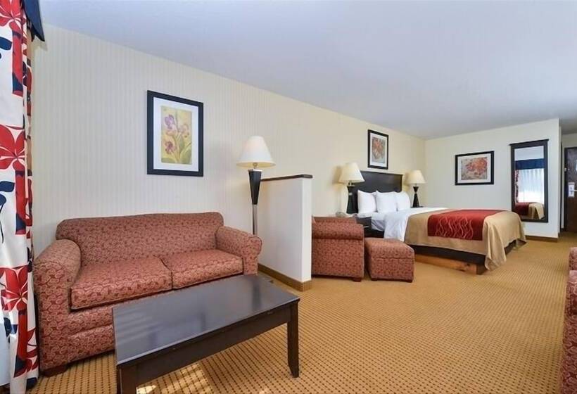 Люкс, Quality Inn & Suites Farmington