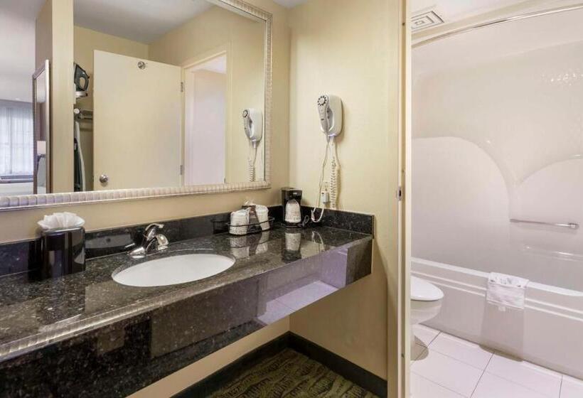 Стандартный Номер Кровать Кинг, Best Western Mcallen Medical Center
