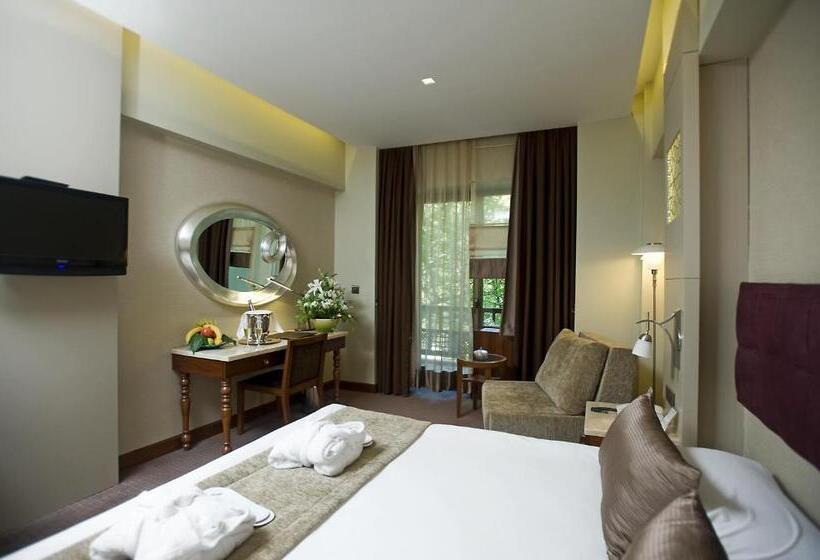 اتاق استاندارد, Kervansaray Thermal Convention Center & Spa