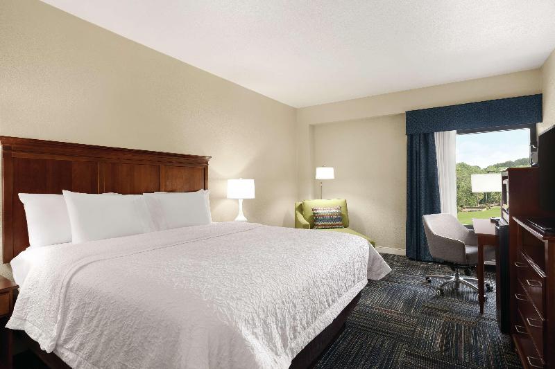 스탠다드 룸 킹사이즈 침대, Hampton Inn Atlanta Stone Mountain