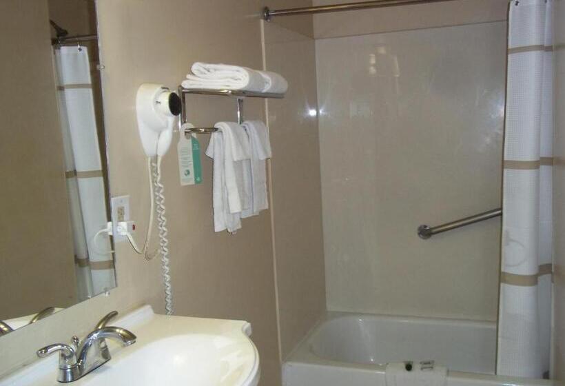 스탠다드 룸 킹사이즈 침대, American Regency Inn