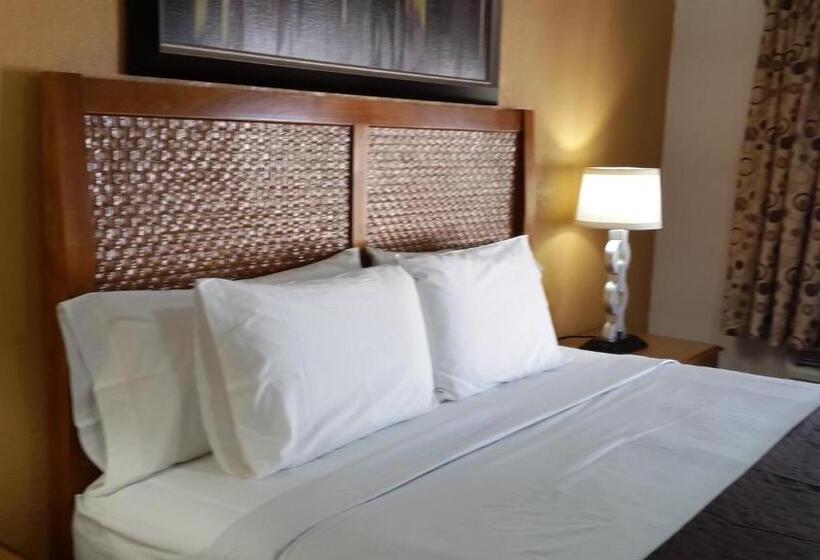 스탠다드 룸 킹사이즈 침대, American Regency Inn