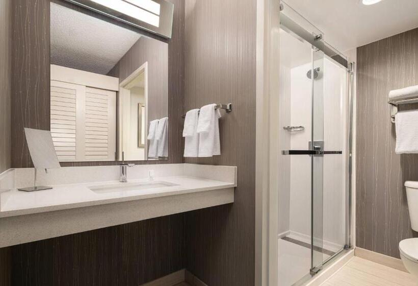 Номер Стандарт, Courtyard San Francisco Larkspur Landing/marin County