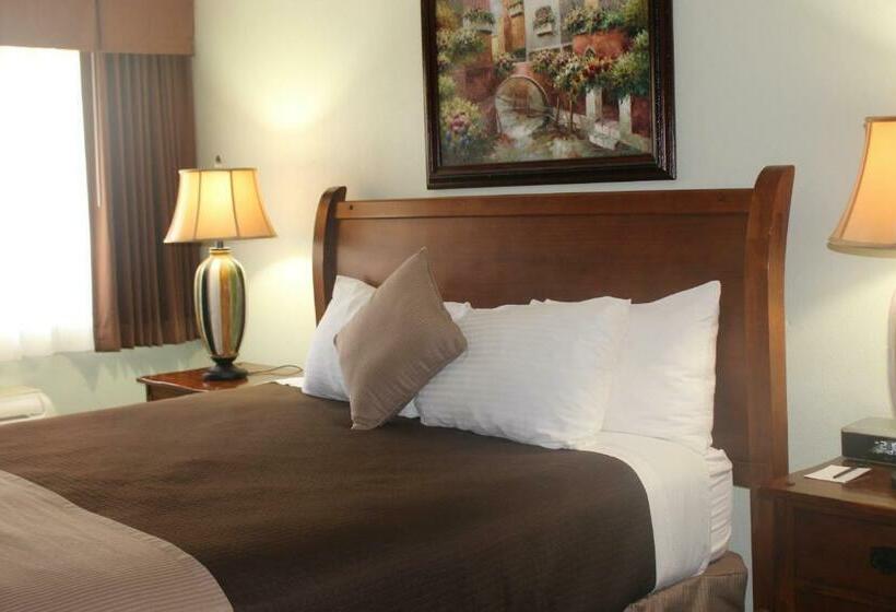 스탠다드 룸, O'cairns Inn And Suites
