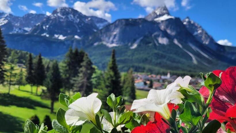 Люкс с Балконом, Wellness & Sporthotel Alpenhof