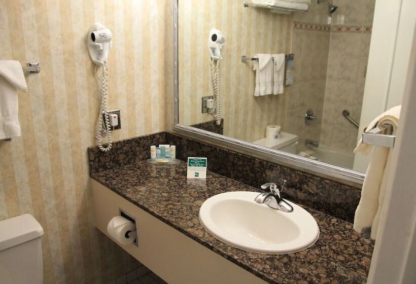 スーペリアールーム, Quality Inn Downtown Inner Harbour