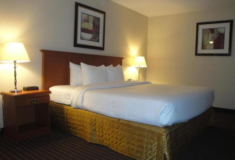 Стандартный Номер Кровать Кинг, All Stay Suites