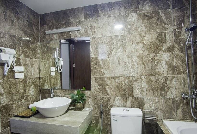 اتاق سوپریور, Victor Hanoi