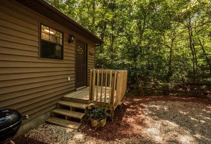 2间卧室的房子, Nolichuckey Bluffs Bed & Breakfast Cabins