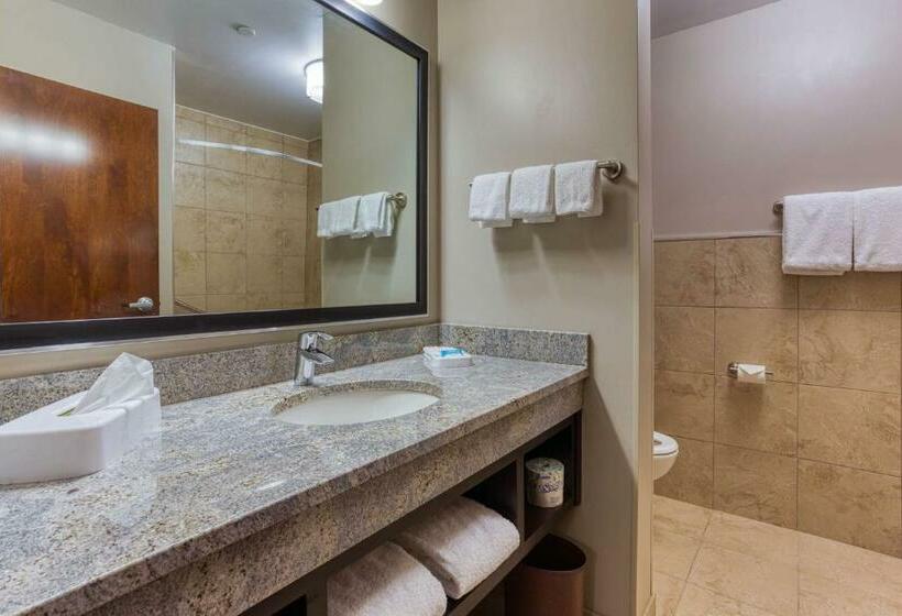 Номер Deluxe Кровать Кинг, Drury Inn & Suites Cincinnati Northeast Mason
