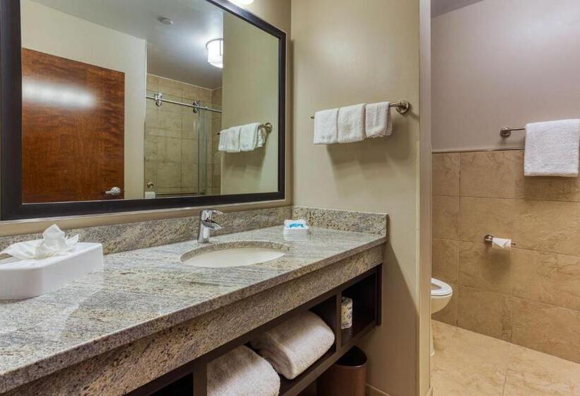 Студио Стандарт Кровать Кинг, Drury Inn & Suites Cincinnati Northeast Mason