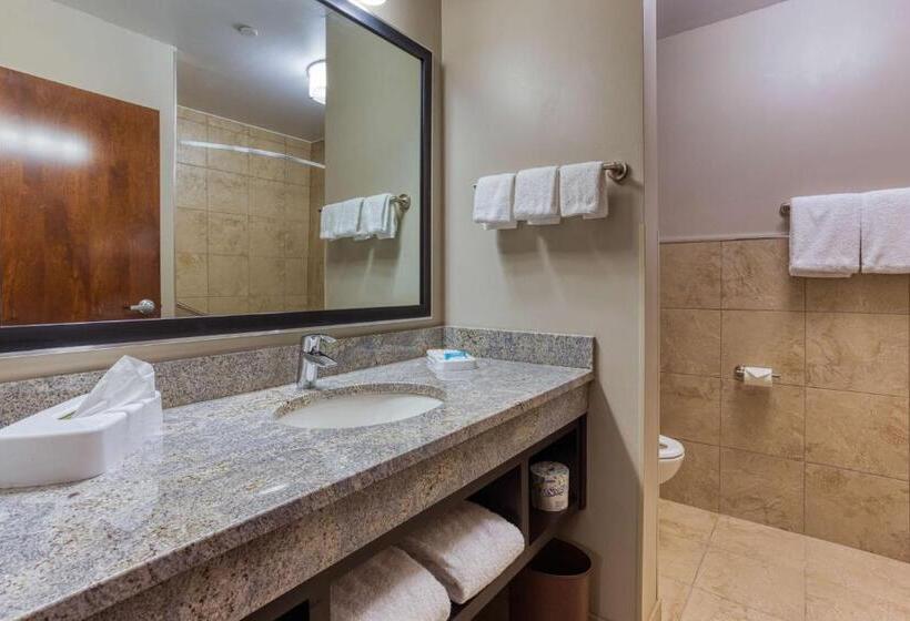 Номер Superior, Drury Inn & Suites Cincinnati Northeast Mason