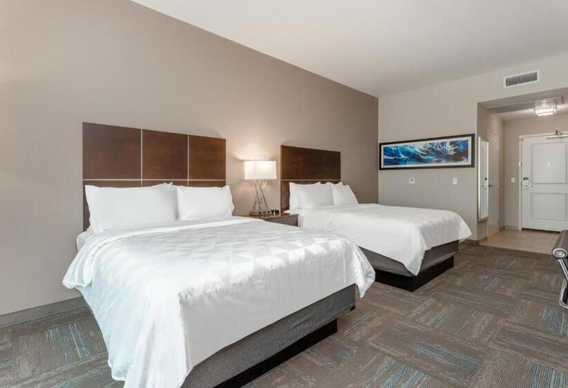 标准间, Holiday Inn & Suites   Jefferson City, An Ihg
