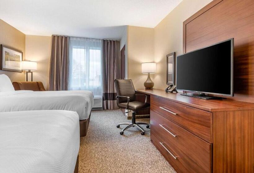 Номер Стандарт, Comfort Inn & Suites