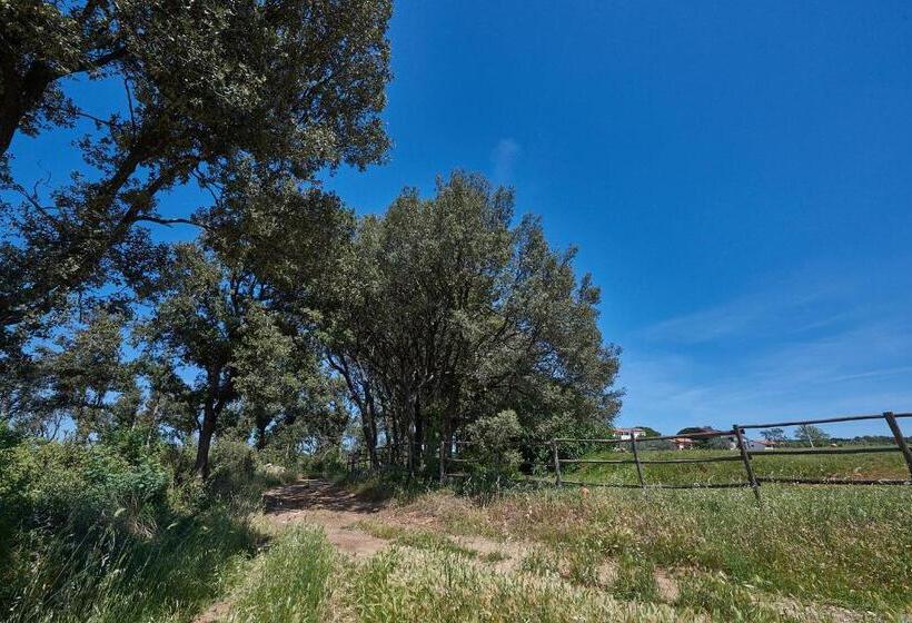 Апартаменты 1 Спальня с Террасой, Agriturismo Tesorino