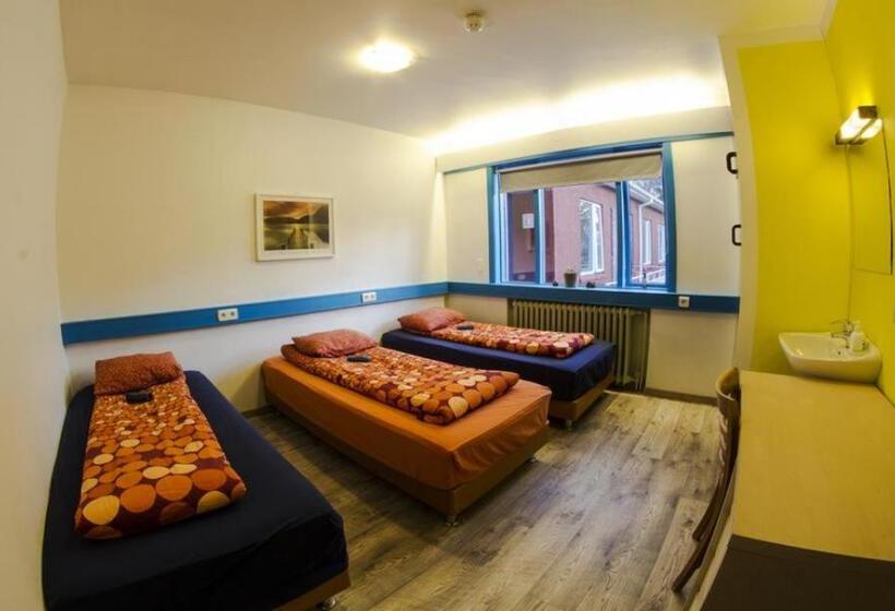 اتاق استاندارد سه تخته با سرویس بهداشتی مشترک, Selfoss Hostel
