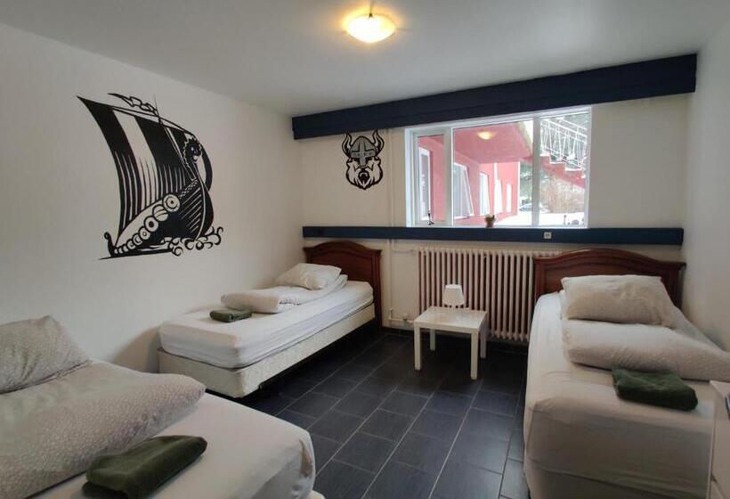 اتاق استاندارد سه تخته با سرویس بهداشتی مشترک, Selfoss Hostel