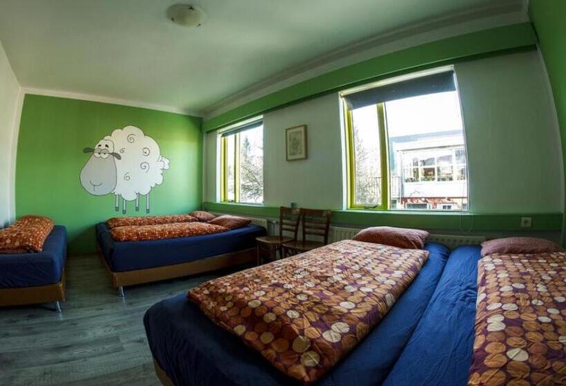 اتاق استاندارد چهارنفره با سرویس بهداشتی مشترک, Selfoss Hostel