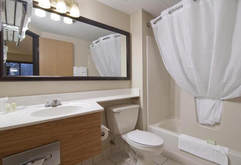 Семейный Номер Deluxe, Boarders Inn & Suites By Cobblestone Hotels   Faribault