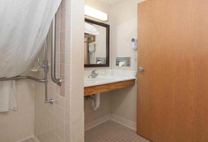 장애인을 위한 스탠다드 싱글 룸, Boarders Inn & Suites By Cobblestone Hotels   Faribault