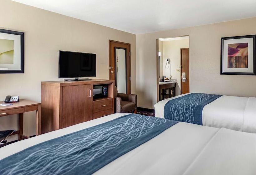 غرفه قياسيه سريرين مزدوجين, Comfort Inn Midtown
