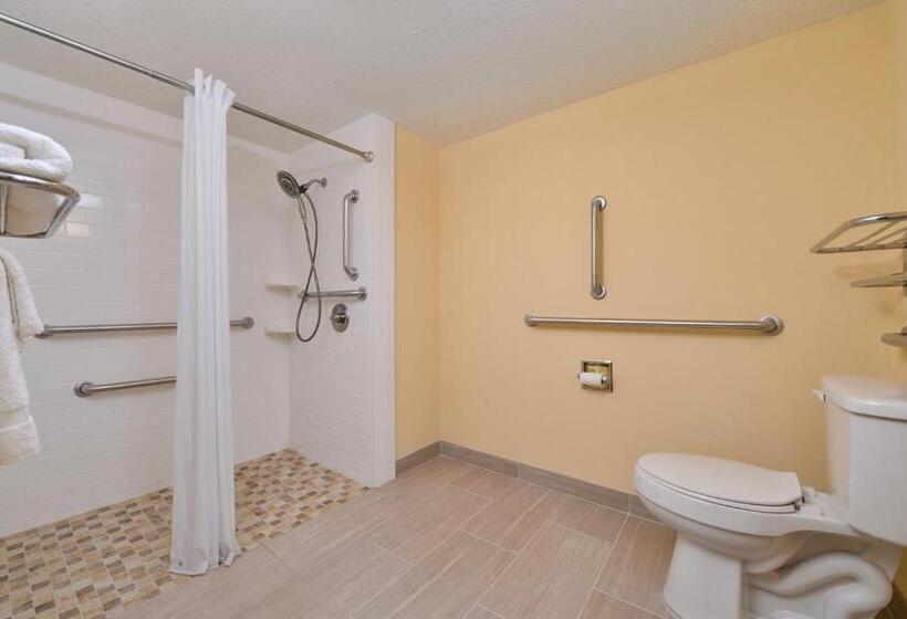 身障者適用スタンダードルーム, Americas Best Value Inn Tupelo Barnes Crossing