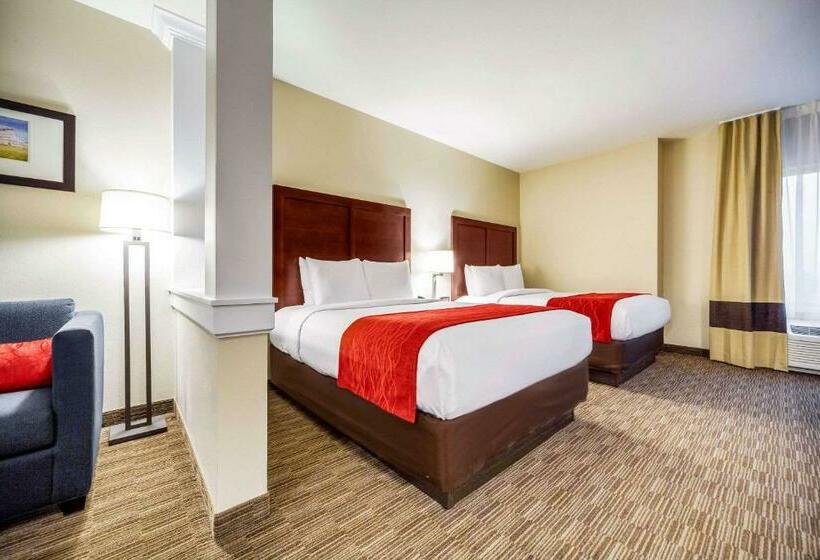 适合残疾人士使用的套间, Comfort Inn & Suites North Platte I80