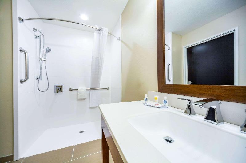适合残疾人使用的标准间, Comfort Inn & Suites North Platte I80