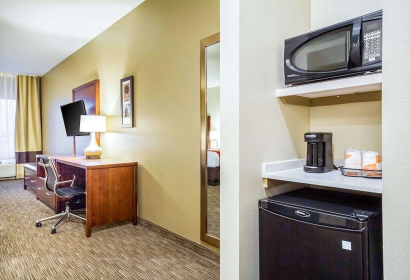 适合残疾人士使用的套间, Comfort Inn & Suites North Platte I80