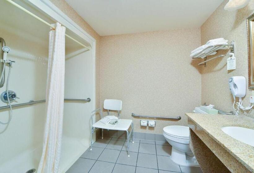 Номер Стандарт Кровать Кинг Адаптированный для Инвалидов, Best Western Plus Meridian