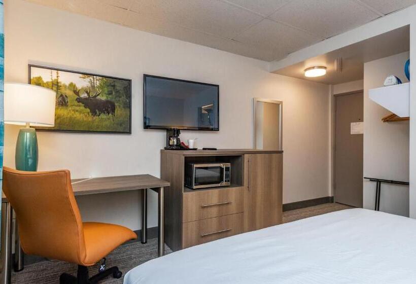 장애인을 위한 스탠다드 룸, Bridgewater Hotel, Trademark Collection By Wyndham
