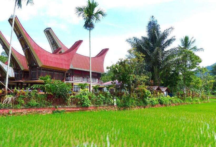 标准间, Toraja Torsina