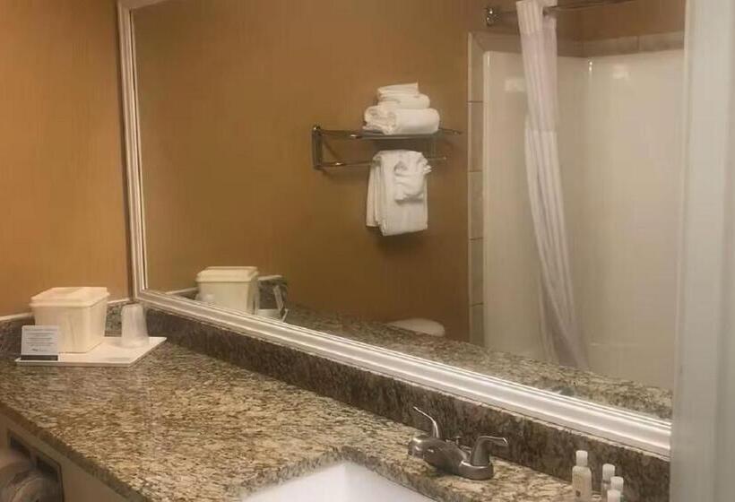 اتاق استاندارد با تخت بزرگ, Quality Inn & Suites Loveland