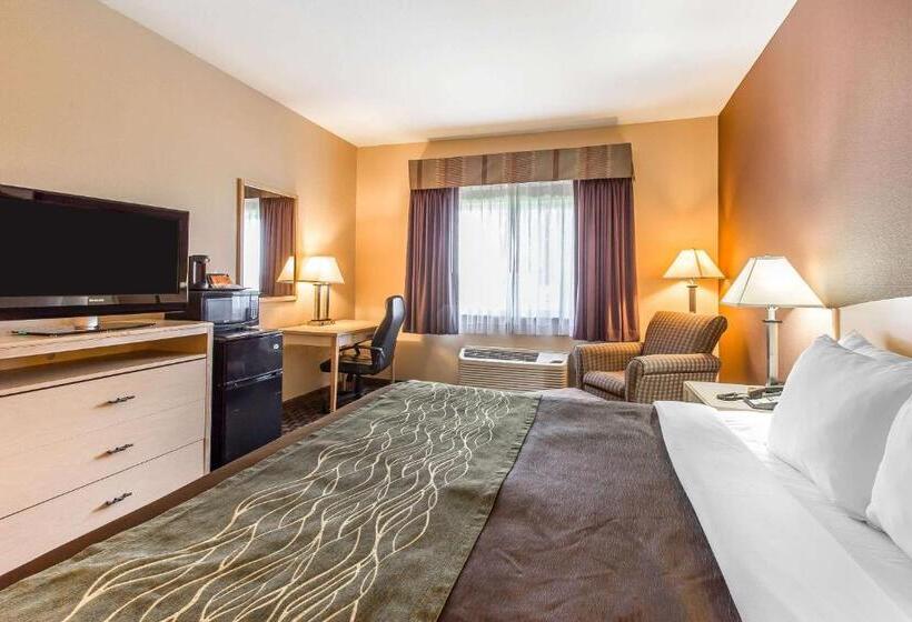 اتاق استاندارد با تخت بزرگ, Quality Inn & Suites Loveland