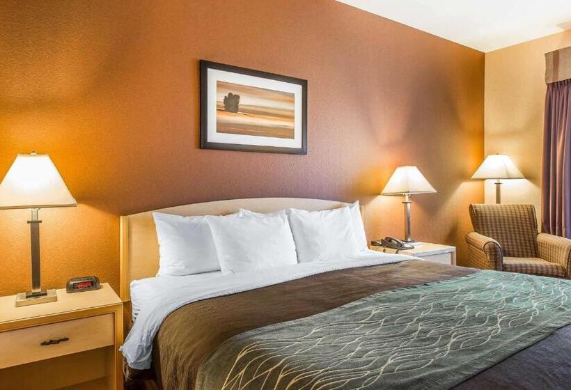 اتاق استاندارد با تخت بزرگ برای معلولان, Quality Inn & Suites Loveland