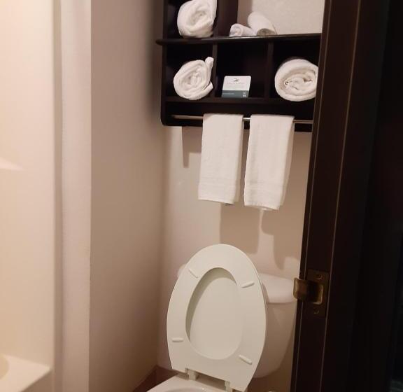 Номер Superior Кровать Кинг, Quality Inn & Suites