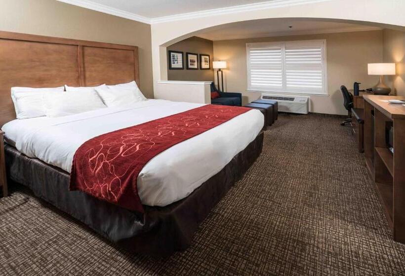 سوئیت برای معلولان, Comfort Suites Fresno River Park