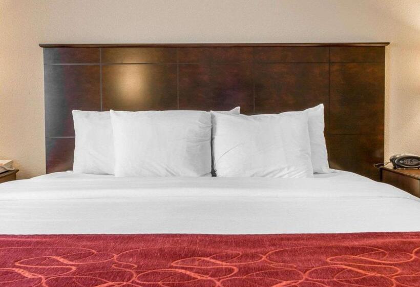带大床的套房, Comfort Suites Saginaw