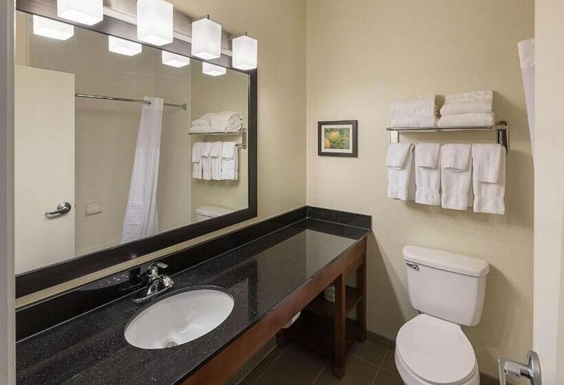 带大床的套房, Comfort Suites Saginaw