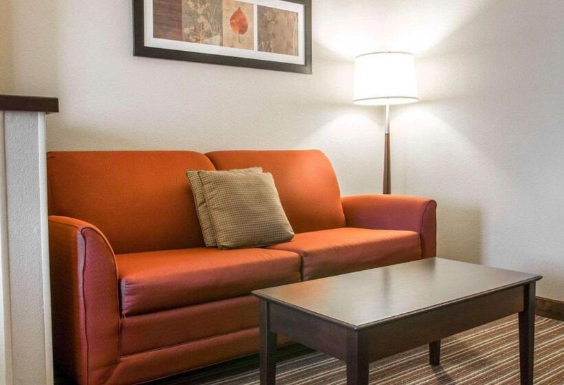 Люкс, Comfort Suites Saginaw