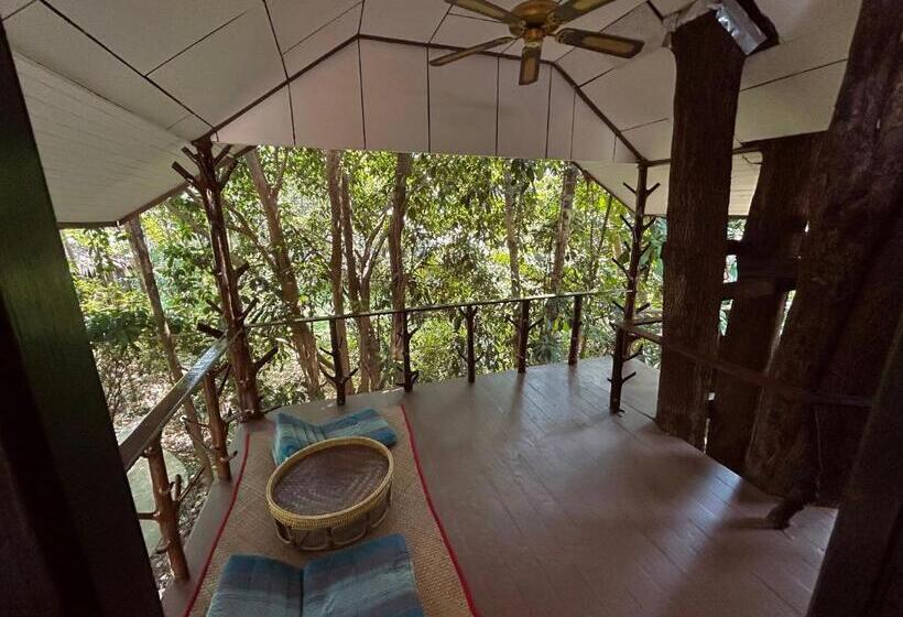 Бунгало Deluxe, Khao Sok Paradise Resort