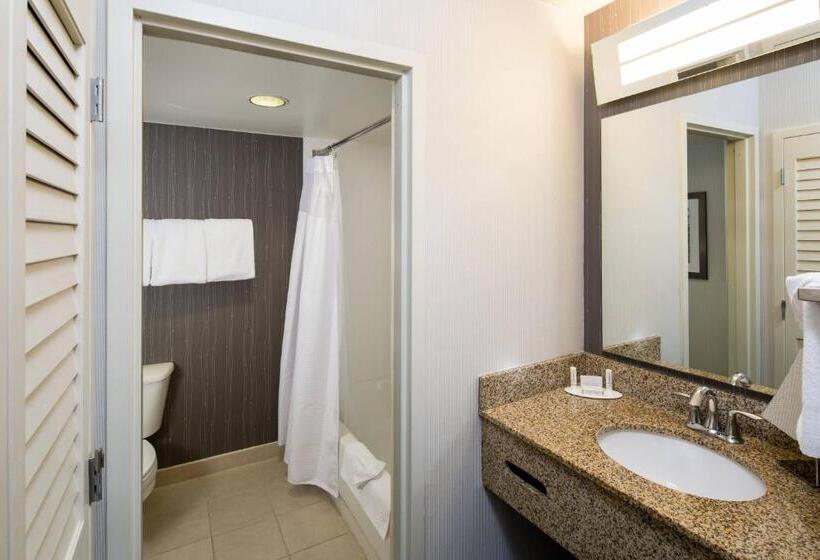 اتاق استاندارد, Courtyard By Marriott San Antonio Airport/north Star Mall